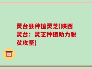 灵台县种植灵芝(陕西灵台：灵芝种植助力脱贫攻坚)
