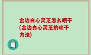 金边白心灵芝怎么晒干(金边白心灵芝的晾干方法)
