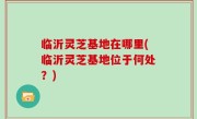 临沂灵芝基地在哪里(临沂灵芝基地位于何处？)