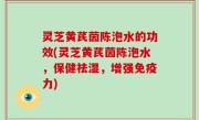 灵芝黄芪茵陈泡水的功效(灵芝黄芪茵陈泡水，保健祛湿，增强免疫力)