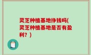 灵芝种植基地挣钱吗(灵芝种植基地是否有盈利？)