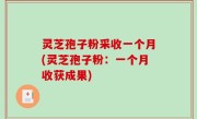灵芝孢子粉采收一个月(灵芝孢子粉：一个月收获成果)