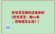 野生灵芝嫩的还是老的(野生灵芝：嫩vs老，你知道怎么选？)