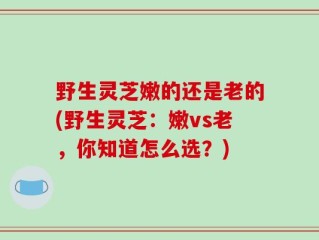 野生灵芝嫩的还是老的(野生灵芝：嫩vs老，你知道怎么选？)