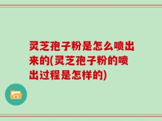 灵芝孢子粉是怎么喷出来的(灵芝孢子粉的喷出过程是怎样的)