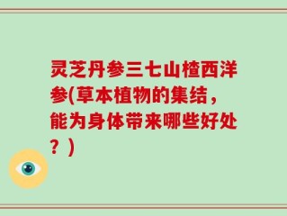 灵芝丹参三七山楂西洋参(草本植物的集结，能为身体带来哪些好处？)
