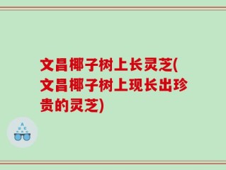 文昌椰子树上长灵芝(文昌椰子树上现长出珍贵的灵芝)
