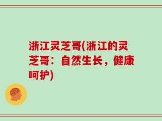 浙江灵芝哥(浙江的灵芝哥：自然生长，健康呵护)