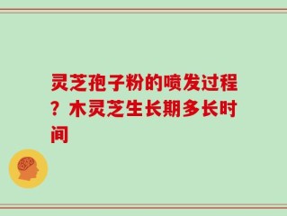 灵芝孢子粉的喷发过程？木灵芝生长期多长时间