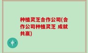 种植灵芝合作公司(合作公司种植灵芝 成就共赢)