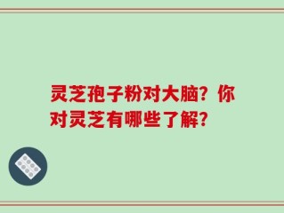 灵芝孢子粉对大脑？你对灵芝有哪些了解？