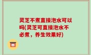 灵芝不煮直接泡水可以吗(灵芝可直接泡水不必煮，养生效果好)