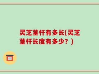 灵芝茎杆有多长(灵芝茎杆长度有多少？)