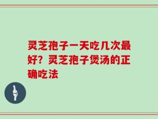 灵芝孢子一天吃几次最好？灵芝孢子煲汤的正确吃法