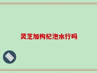 灵芝加枸杞泡水行吗