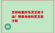 怎样收集野生灵芝孢子油？哪里有收购灵芝孢子粉