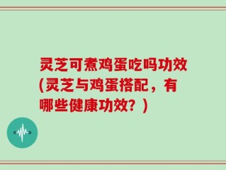 灵芝可煮鸡蛋吃吗功效(灵芝与鸡蛋搭配，有哪些健康功效？)