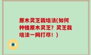 原木灵芝栽培法(如何种植原木灵芝？灵芝栽培法一网打尽！)