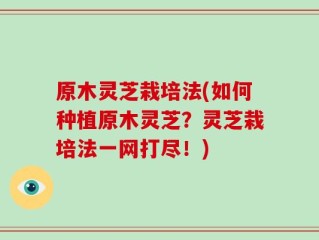 原木灵芝栽培法(如何种植原木灵芝？灵芝栽培法一网打尽！)