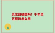 灵芝甜破壁吗？千年灵芝原液怎么用