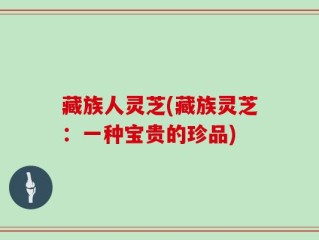 藏族人灵芝(藏族灵芝：一种宝贵的珍品)