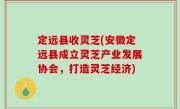 定远县收灵芝(安徽定远县成立灵芝产业发展协会，打造灵芝经济)