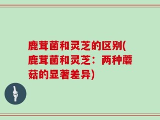 鹿茸菌和灵芝的区别(鹿茸菌和灵芝：两种蘑菇的显著差异)