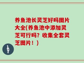 养鱼池长灵芝好吗图片大全(养鱼池中添加灵芝可行吗？收集全套灵芝图片！)