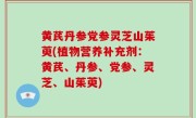 黄芪丹参党参灵芝山茱萸(植物营养补充剂：黄芪、丹参、党参、灵芝、山茱萸)