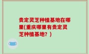 贵定灵芝种植基地在哪里(重庆哪里有贵定灵芝种植基地？)