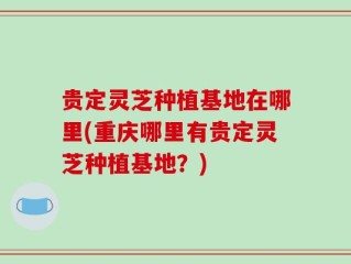 贵定灵芝种植基地在哪里(重庆哪里有贵定灵芝种植基地？)
