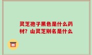 灵芝孢子黑色是什么药材？山灵芝别名是什么