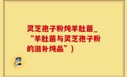 灵芝孢子粉炖羊肚菌_“羊肚菌与灵芝孢子粉的滋补炖品”)