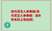 海马灵芝人参黄精(海马灵芝人参黄精：滋补养生的上等选择)