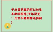 千年灵芝真的可以长生不老吗照片(千年灵芝：长生不老的神话待解)