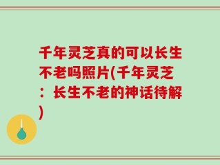 千年灵芝真的可以长生不老吗照片(千年灵芝：长生不老的神话待解)