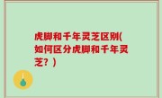 虎脚和千年灵芝区别(如何区分虎脚和千年灵芝？)