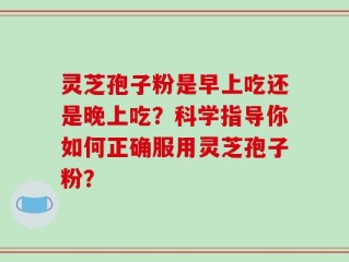 灵芝孢子粉是早上吃还是晚上吃？科学指导你如何正确服用灵芝孢子粉？