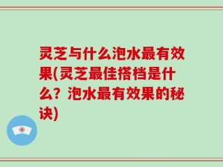 灵芝与什么泡水最有效果(灵芝最佳搭档是什么？泡水最有效果的秘诀)