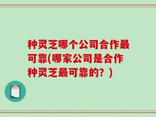 种灵芝哪个公司合作最可靠(哪家公司是合作种灵芝最可靠的？)