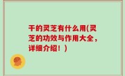 干的灵芝有什么用(灵芝的功效与作用大全，详细介绍！)
