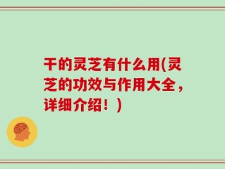 干的灵芝有什么用(灵芝的功效与作用大全，详细介绍！)
