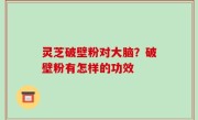 灵芝破壁粉对大脑？破壁粉有怎样的功效