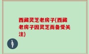 西藏灵芝老房子(西藏老房子因灵芝而备受关注)