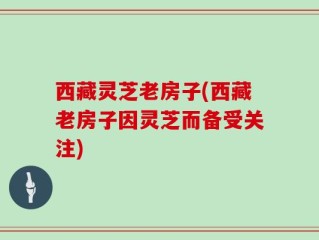 西藏灵芝老房子(西藏老房子因灵芝而备受关注)