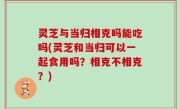 灵芝与当归相克吗能吃吗(灵芝和当归可以一起食用吗？相克不相克？)