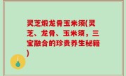 灵芝煅龙骨玉米须(灵芝、龙骨、玉米须，三宝融合的珍贵养生秘籍)