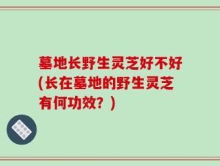 墓地长野生灵芝好不好(长在墓地的野生灵芝有何功效？)
