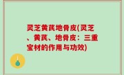 灵芝黄芪地骨皮(灵芝、黄芪、地骨皮：三重宝材的作用与功效)