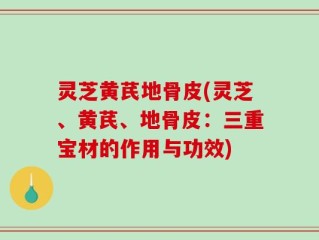 灵芝黄芪地骨皮(灵芝、黄芪、地骨皮：三重宝材的作用与功效)
